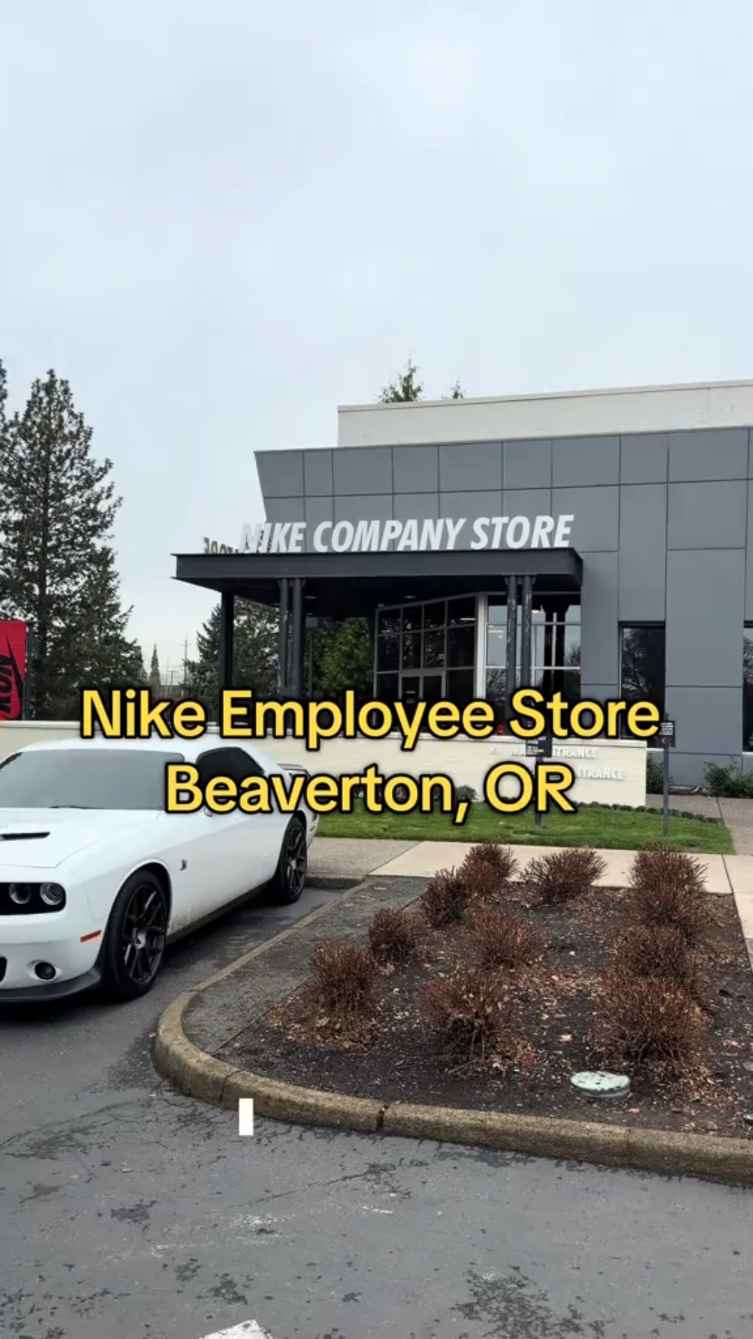 We did a huge Nike run! Shop their sales before they’re over! 

#LTKGiftGuide #LTKHoliday #LTKCyberWeek