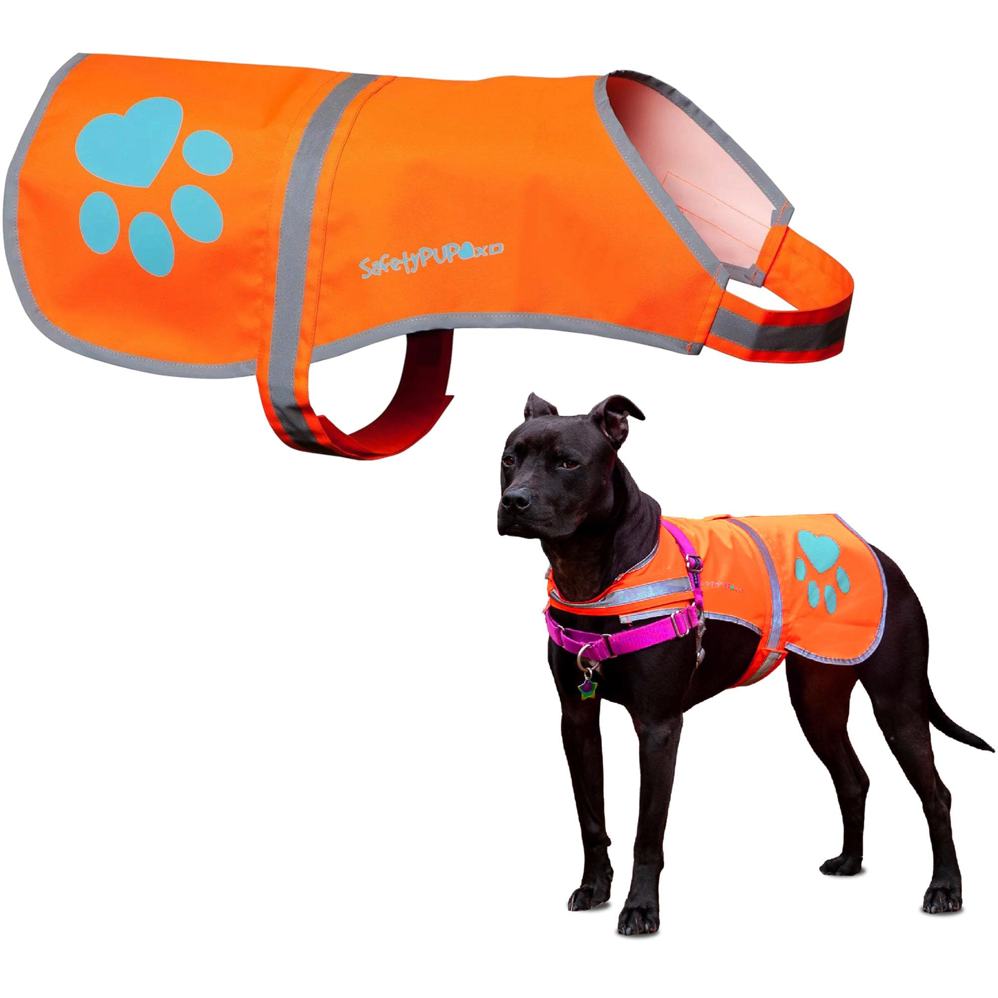 SafetyPUP XD Reflective Dog Vest. Hi-Visibility, Fluorescent Blaze Orange Dog Vest Helps Protect ... | Amazon (US)