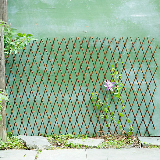 Expandable Willow Diamond Fence | Terrain