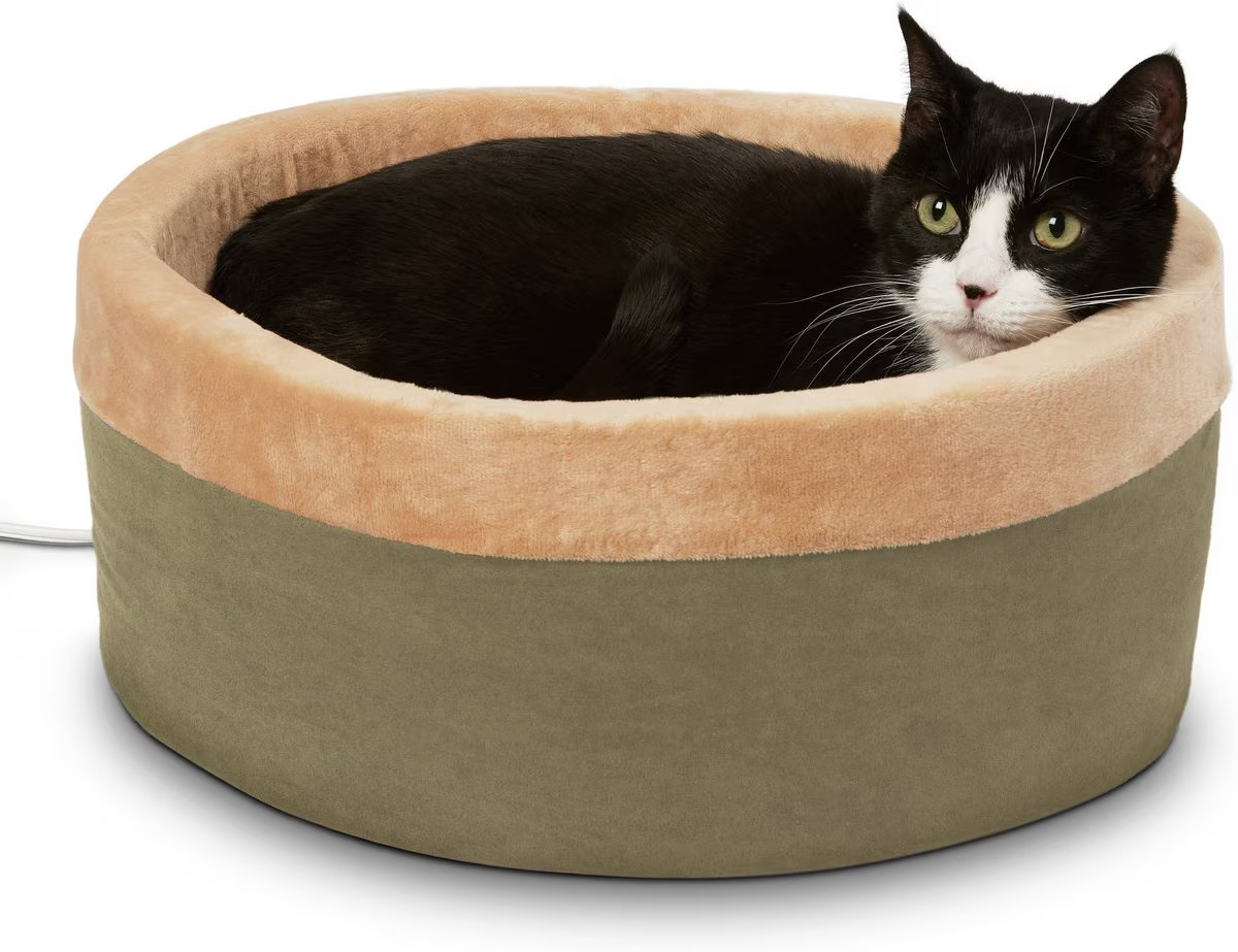 K&H Pet Products Thermo-Kitty Bed Indoor Heated Cat Bed, Sage, Small | Chewy
