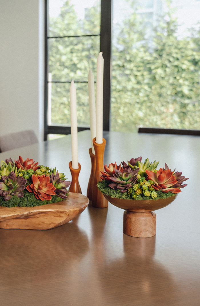 Petra Succulent Wooden Pedestal Arrangement | Nordstrom