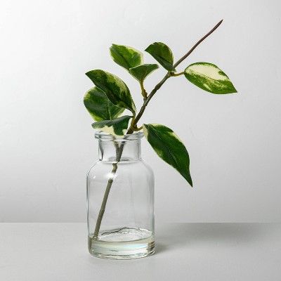 Faux Hoya Leaf Arrangement - Hearth & Hand™ with Magnolia | Target