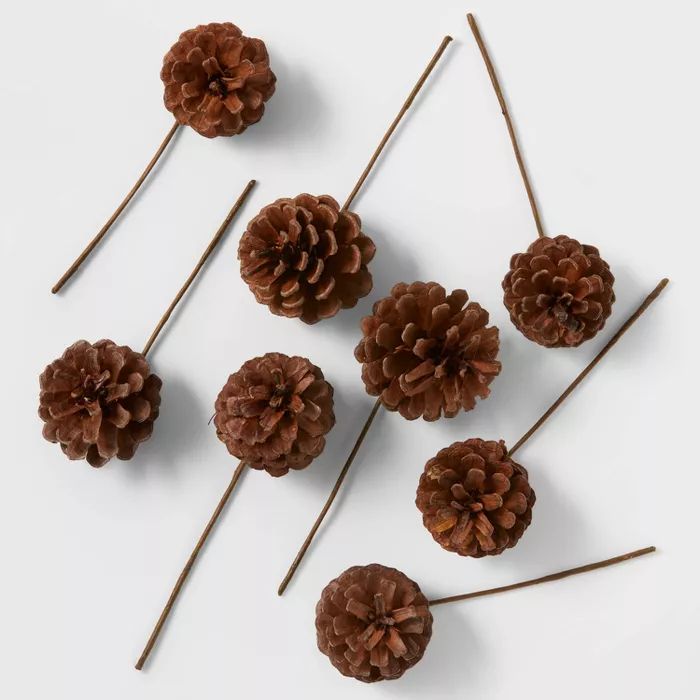 40ct Pinecones - Wondershop&#8482; | Target