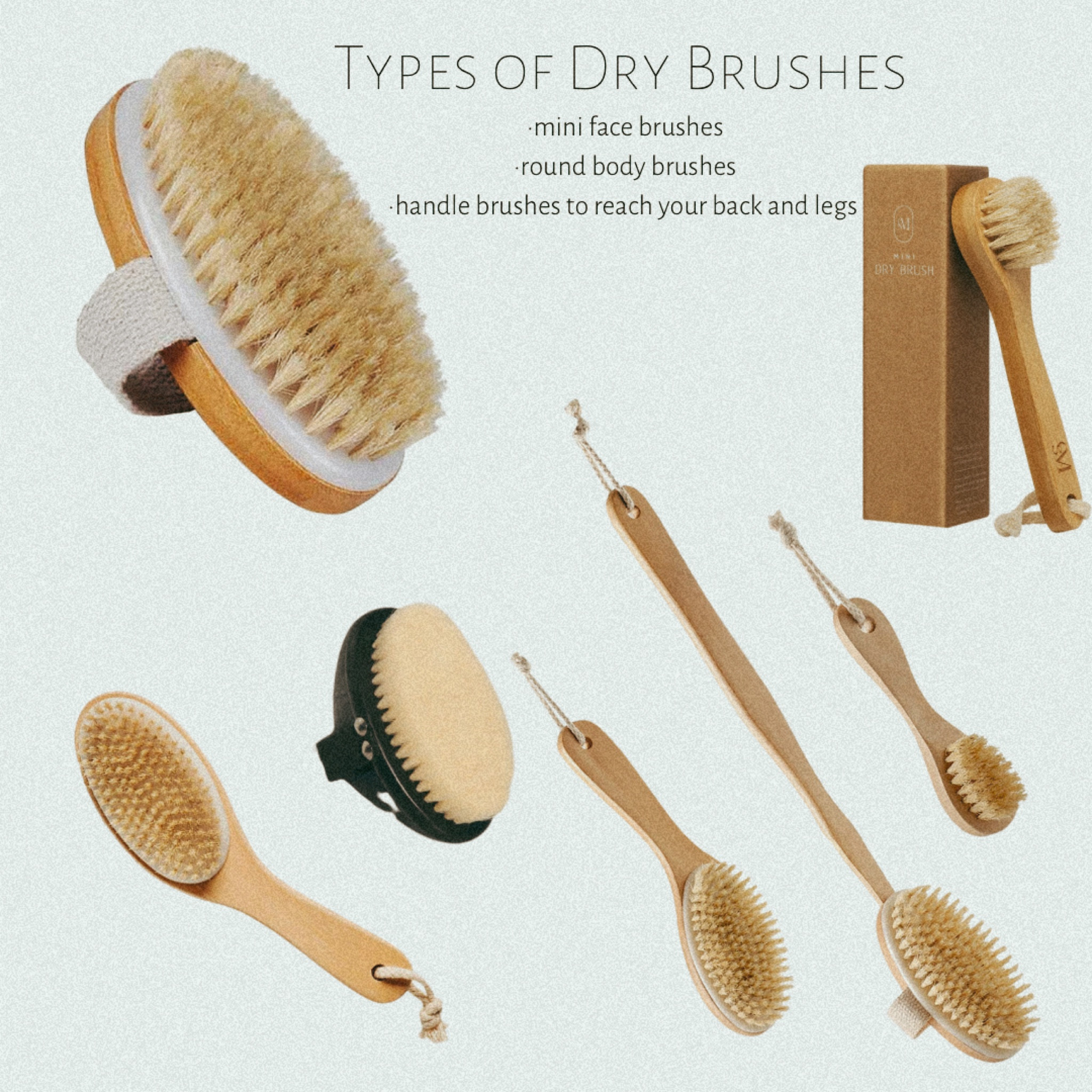 Dry brushes! The benefits to your skin and body will improve by using these 

#LTKsalealert #LTKunder50 #LTKbeauty
