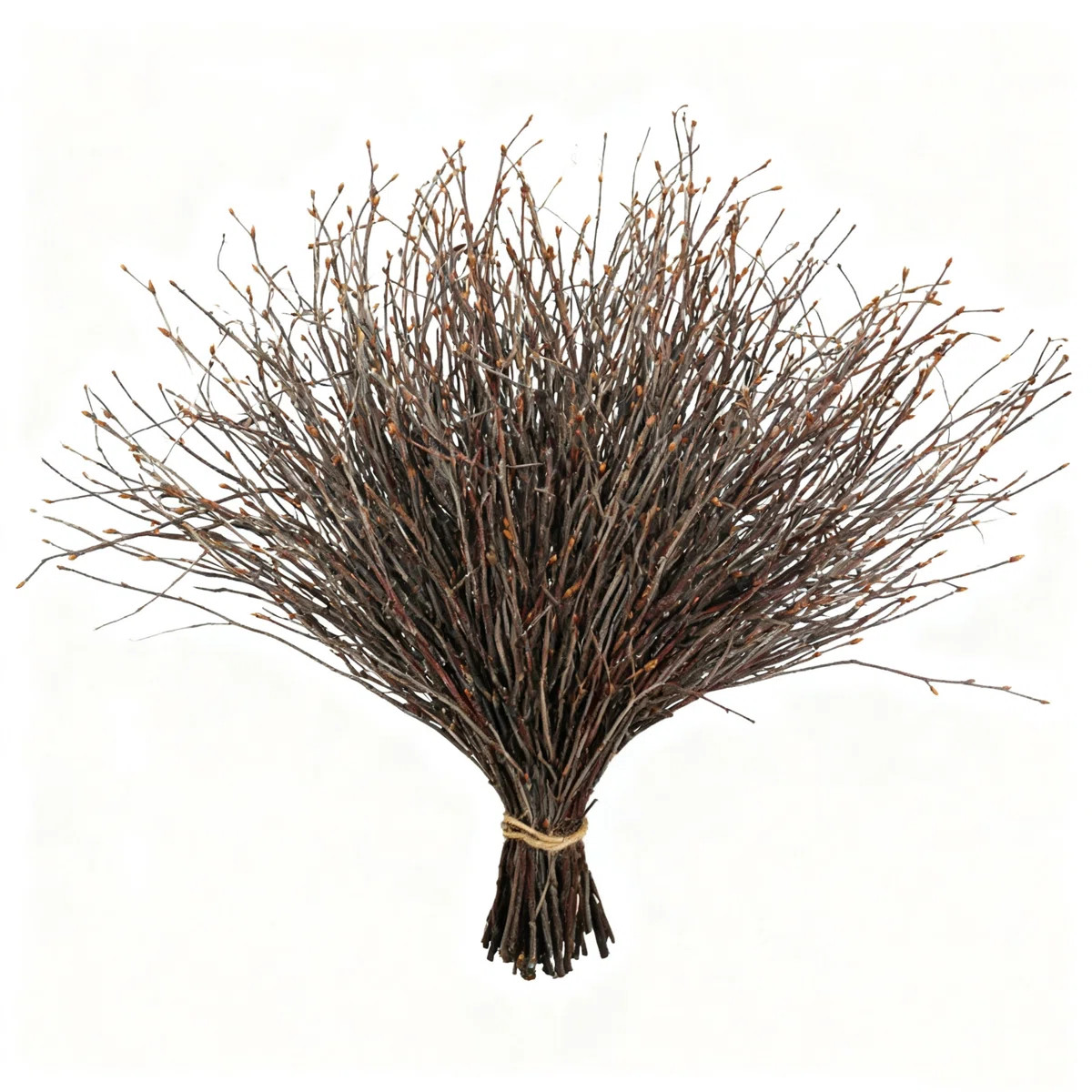 200 Pcs 17 Inch Natural Dried Birch Twigs, Tall Birch Branches For Vase Decor, DIY Floral Arrange... | Wayfair North America