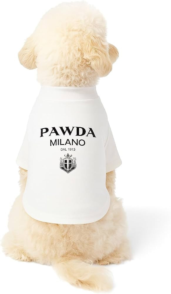 Dog T-Shirt Tee Clothes Vest Lightweight Stretchy Soft Cool Breathable Puppy Pawda White Large | Amazon (US)