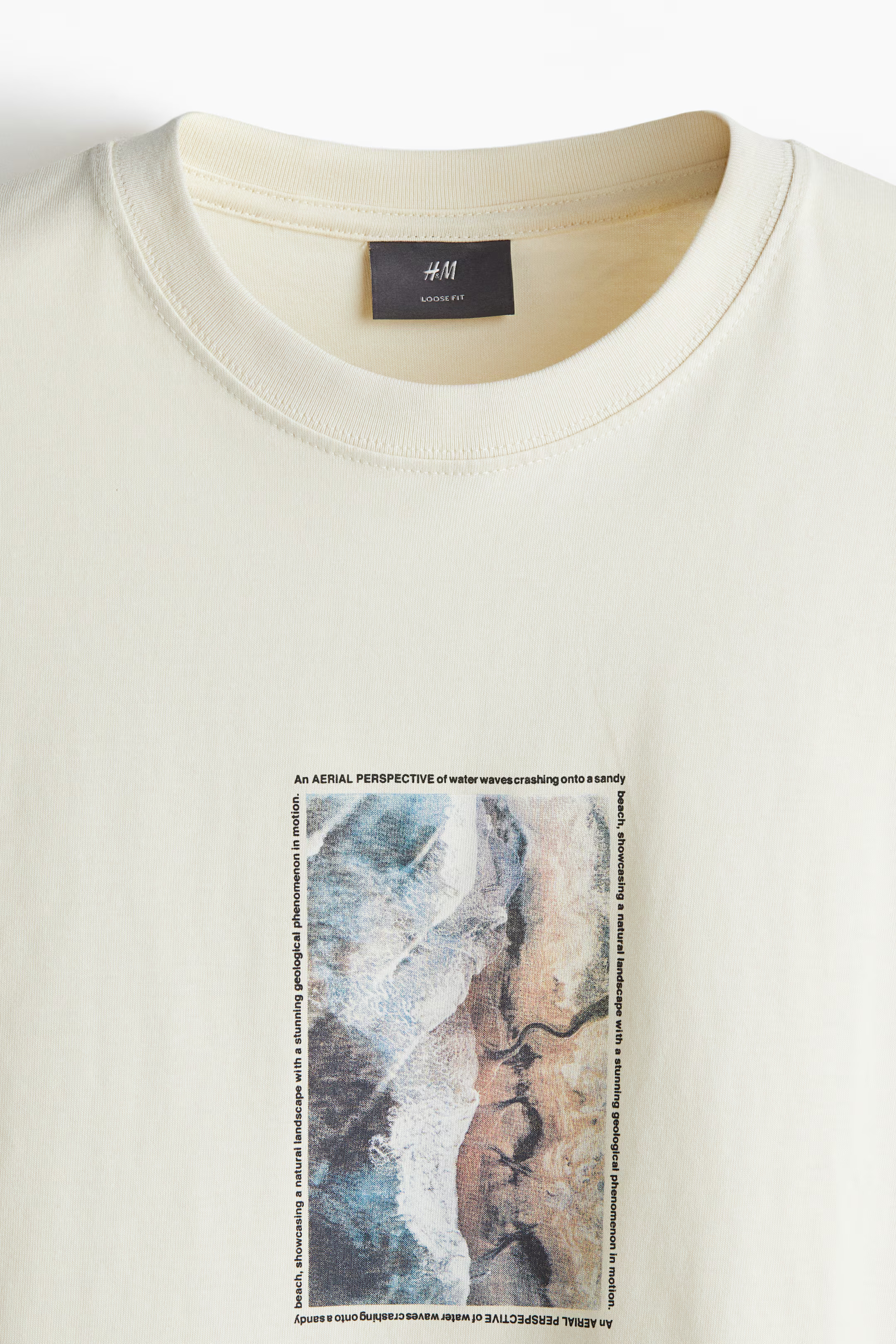 Loose Fit Printed T-shirt | H&M (US + CA)