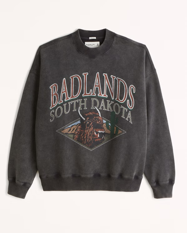 Men's Badlands Park Graphic Crew Sweatshirt | Men's Tops | Abercrombie.com | Abercrombie & Fitch (US)