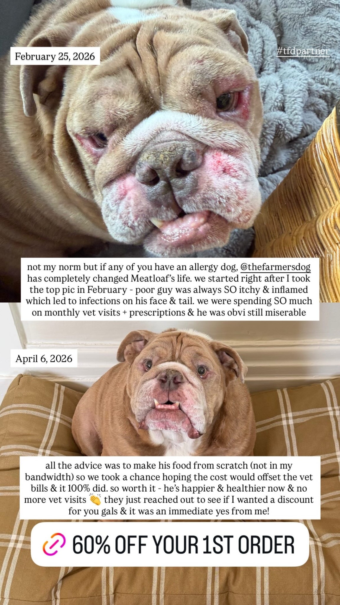 not my norm but if any of you have an allergy dog, @thefarmersdog has completely changed Meatloaf’s life. we started right after I took the top pic in February - poor guy was always SO itchy & inflamed which led to infections on his face & tail. we were spending SO much on monthly vet visits + prescriptions & he was obvi still miserable

all the advice was to make his food from scratch (not in my bandwidth) so we took a chance hoping the cost would offset the vet bills & it 100% did. so worth it - he’s happier & healthier now & no more vet visits 👏 they just reached out to see if I wanted a discount for you gals & it was an immediate yes from me! 

#tfdpartner

#LTKHome #LTKstorytime #LTKdayinmylife