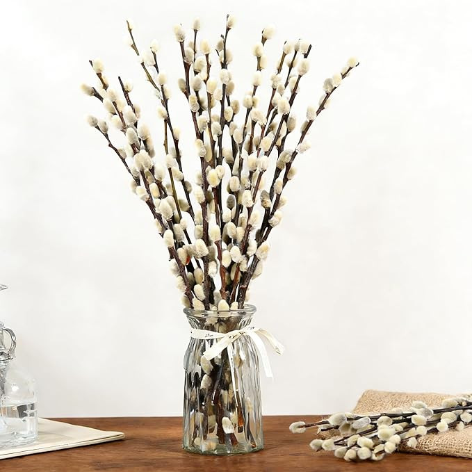Natural Preserved Dried PussyWillow Branches, 15 Stems Real Willows, 17" Snow Pussywillows, Dried... | Amazon (US)