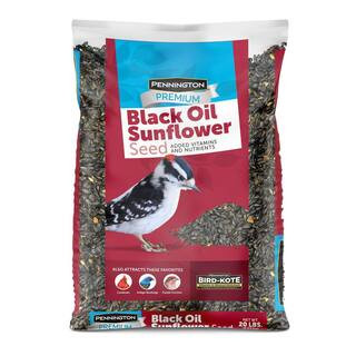 Pennington 20 lbs. Premium Black Oil Sunflower Bird Seed-100542057 - The Home Depot | The Home Depot