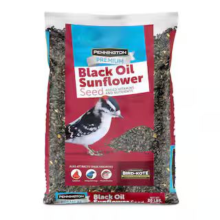 Pennington 20 lbs. Premium Black Oil Sunflower Bird Seed-100542057 - The Home Depot | The Home Depot