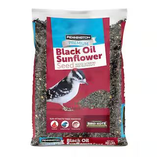 Pennington 20 lbs. Premium Black Oil Sunflower Bird Seed-100542057 - The Home Depot | The Home Depot