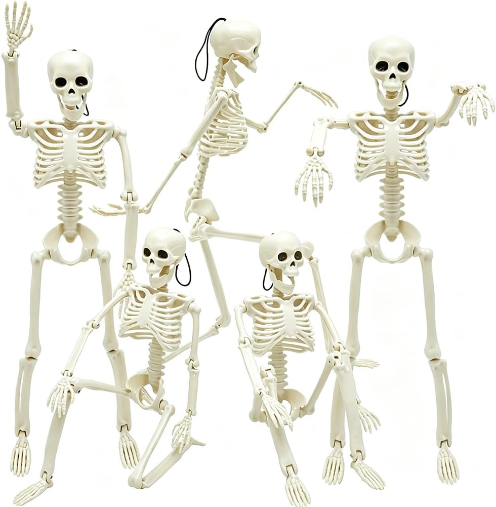 WODMAZ 5 Packs Halloween Skeletons, 16" Halloween Full Body Skeleton with Posable Joints for Haunted House Graveyard Props Decor | Amazon (US)