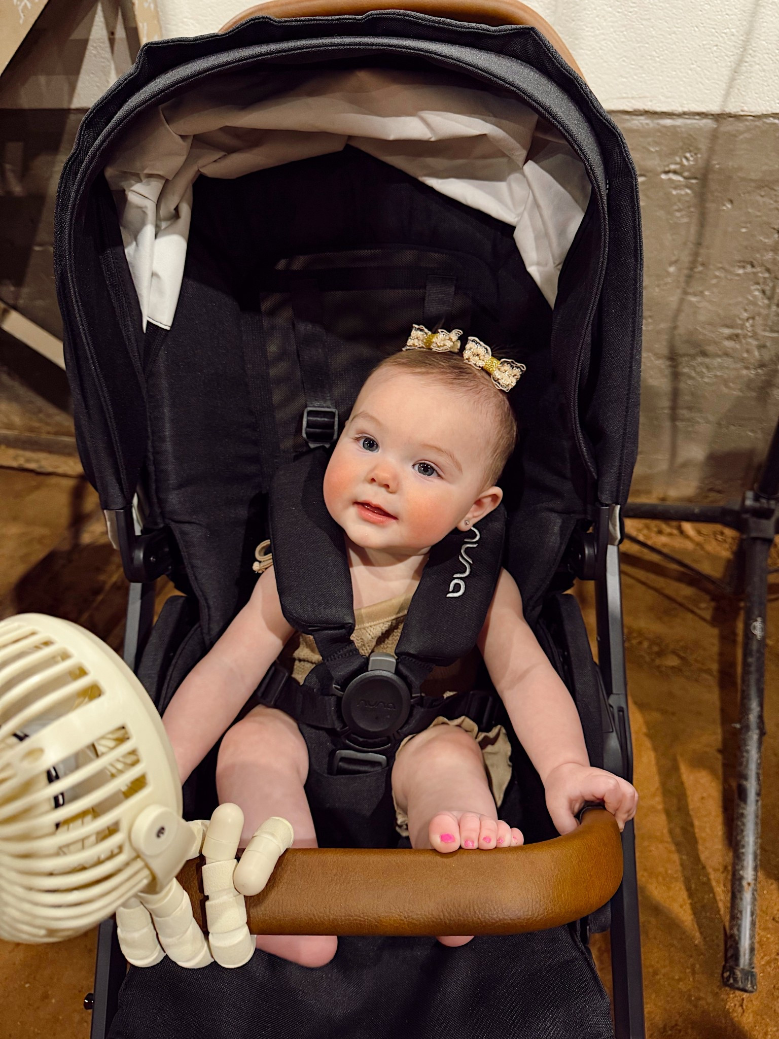 Nuna Stroller and Stroller Fan