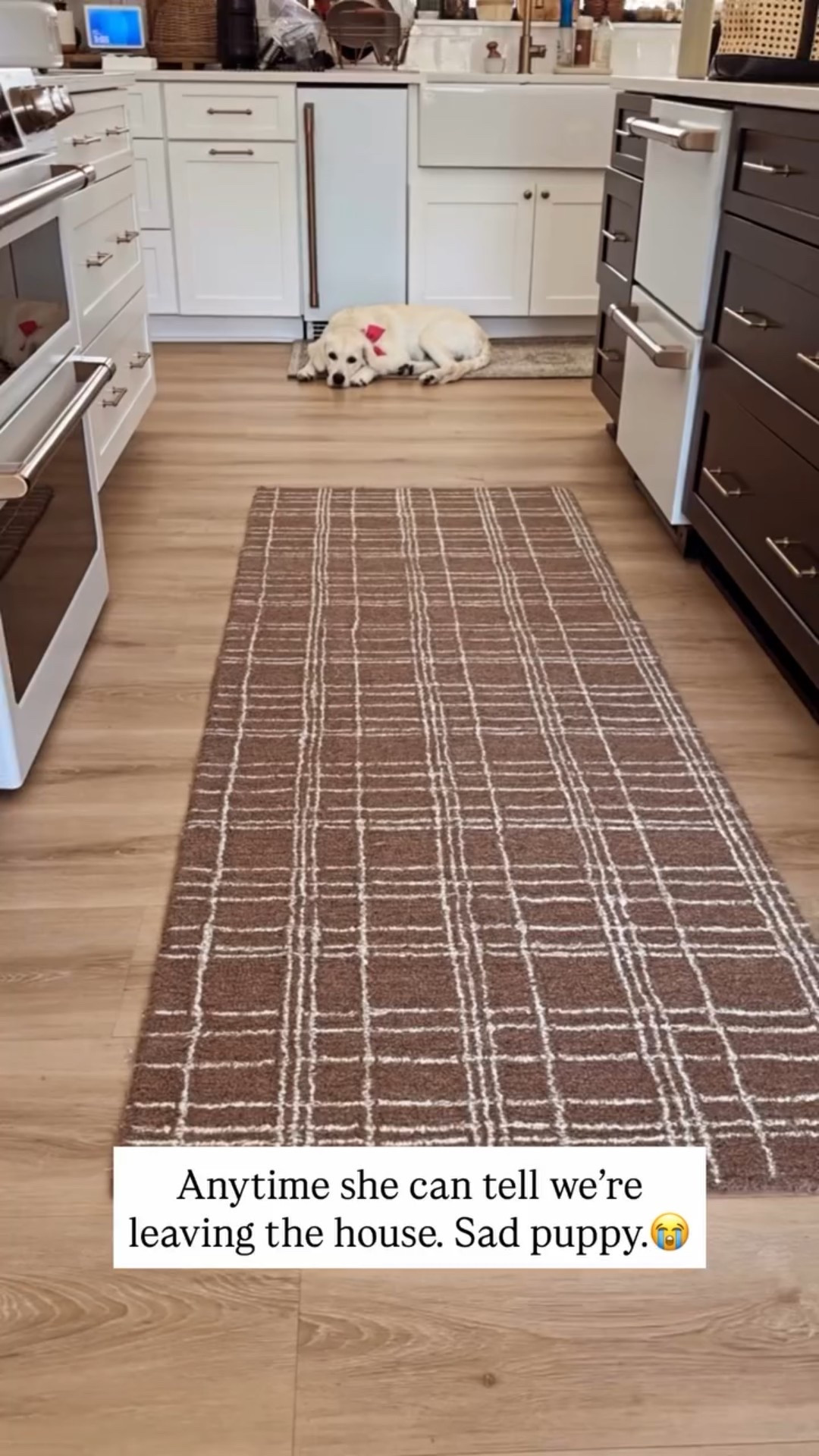 Our kitchen runner rug is from Walmart Better Homes and Gardens ♥️

#LTKHome #LTKFindsUnder50 #LTKmomlife