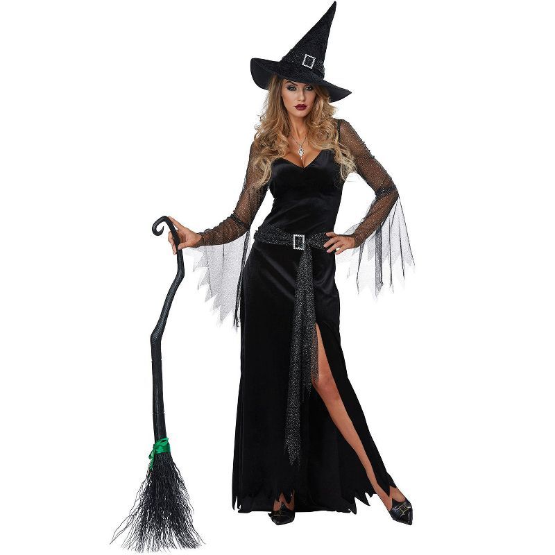California Costumes Rich Witch Adult Costume | Target