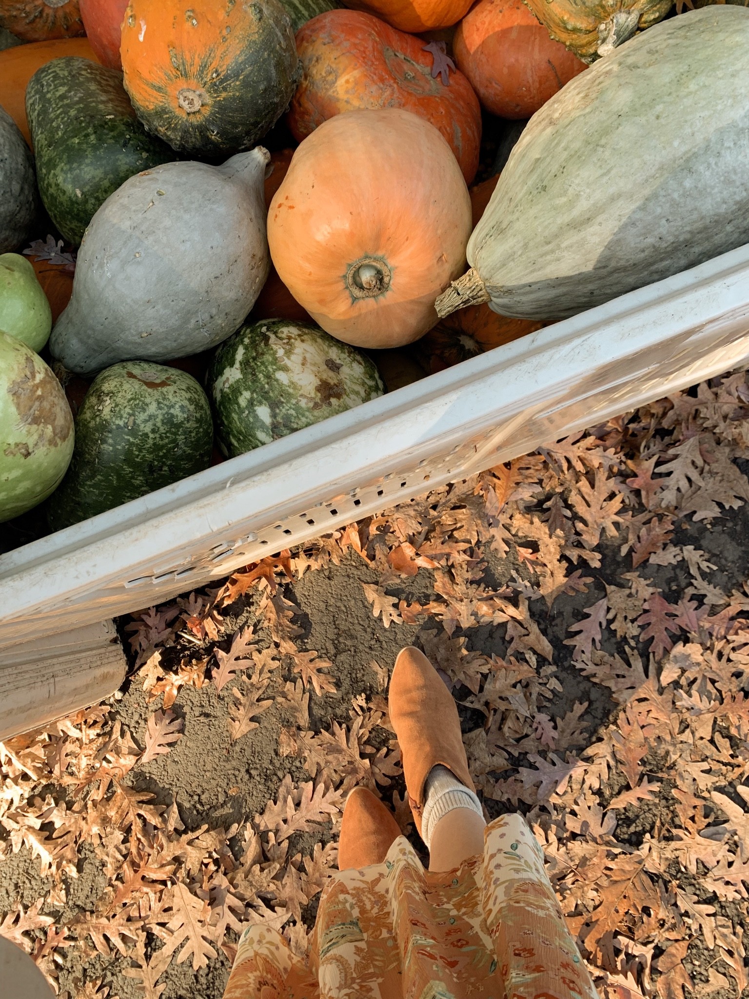 Fall vibes in my new Sezane dress and the perfect fall boots! 🧡

#LTKshoecrush #LTKstyletip #LTKSeasonal