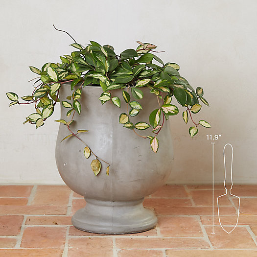 Oval Fiber Urn | Terrain