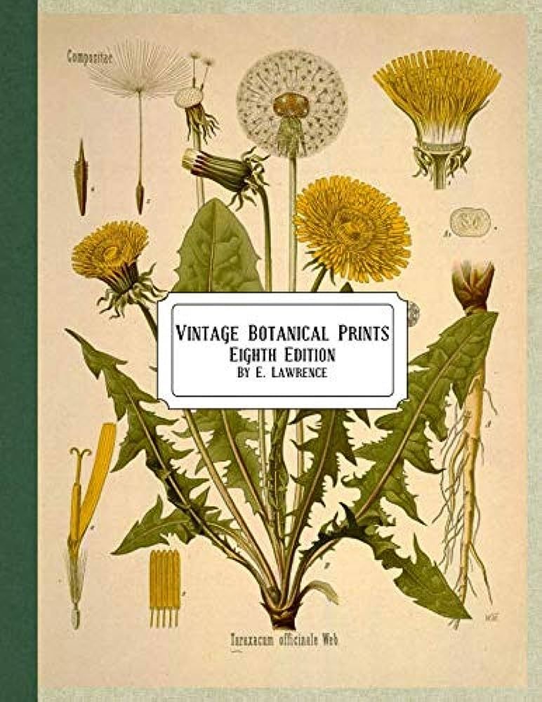 Vintage Botanical Prints: Eighth Edition | Amazon (US)
