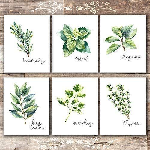 Kitchen Herbs Art Prints - Botanical Prints - (Set of 6) - Unframed - 8x10s | Amazon (US)