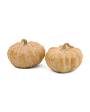 Set Of 2 Pumpkins Decor | Decor | Marshalls | Marshalls