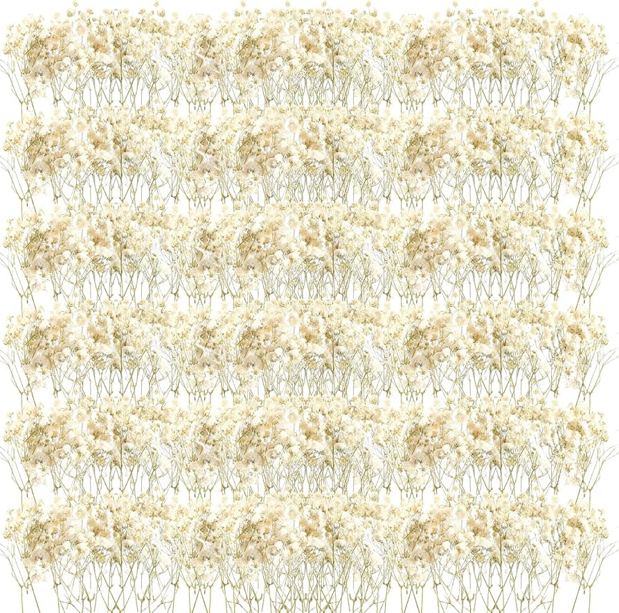 Mini Dried Baby Breath Flowers Gypsophila Ivory Natural Flowers Dried Flowers for Vase Wedding Ho... | Amazon (US)