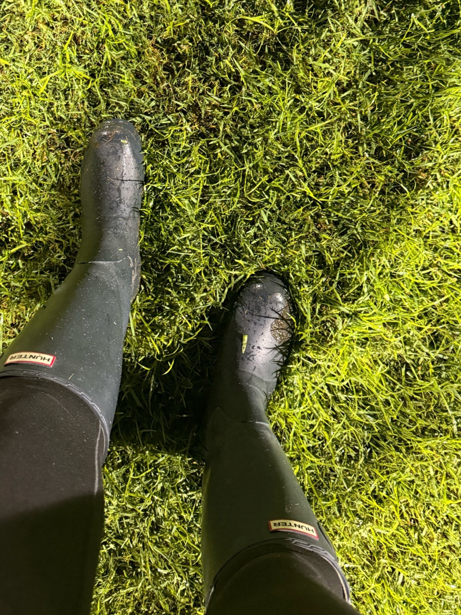 Rocked my Hunter rain boots for sideline coverage of a high school football game and everyone (refs included) were jealous of my genius! If you don’t own a pair, buy yourself one! I’ve had these over ten years!

#LTKHome #LTKActive #LTKdayinmylife