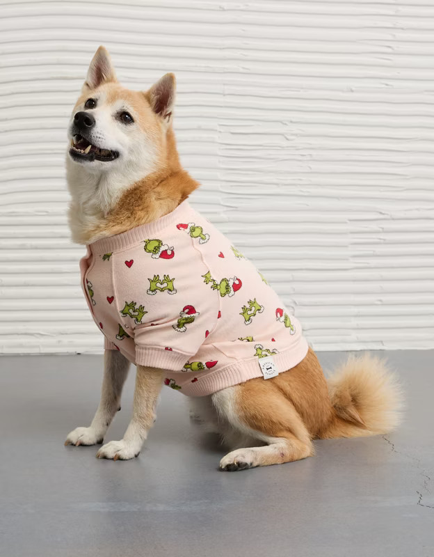 ABO Grinch Dog Sweater | American Eagle Outfitters (US & CA)