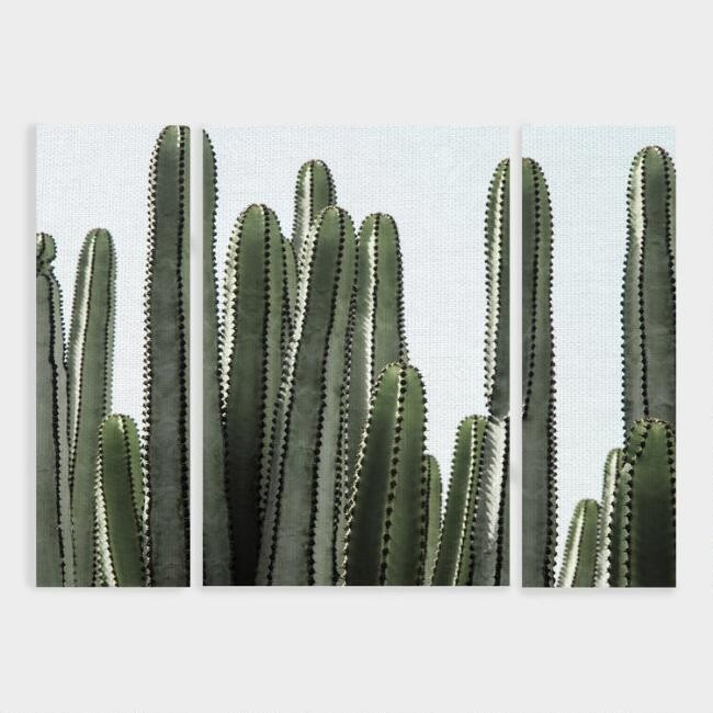Desert Detail Triptych Canvas Wall Art 3 Piece | World Market