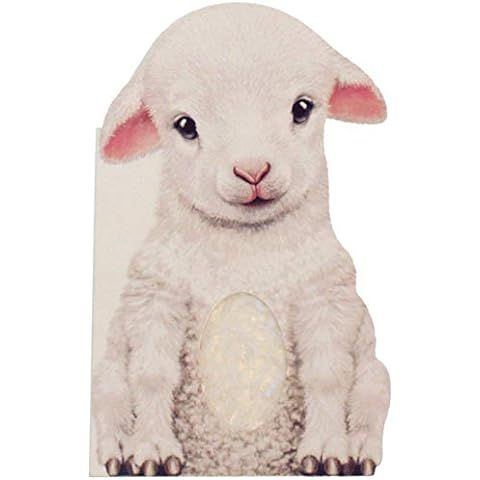 Little Lamb (Mini Look at Me Books): Rigo, Laura: 9780764165115: Amazon.com: Books | Amazon (US)