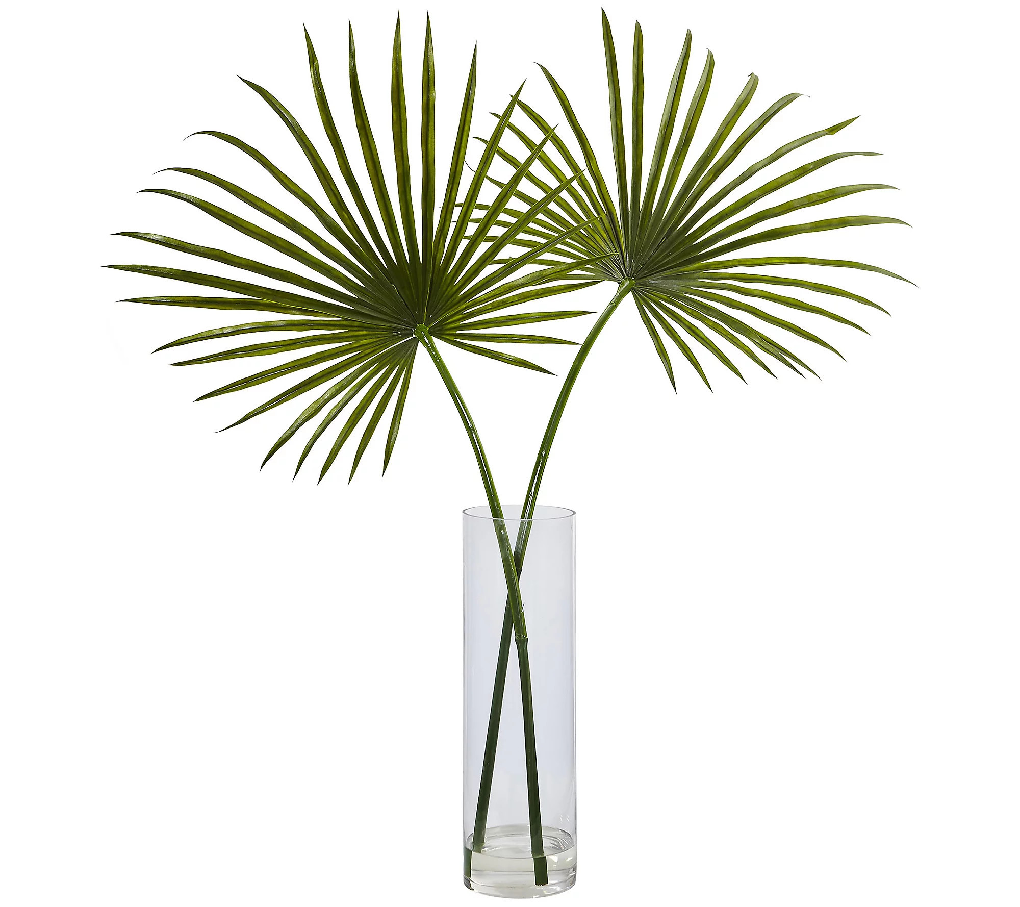 Fan Palm Arrangement by Nearly Natural | QVC