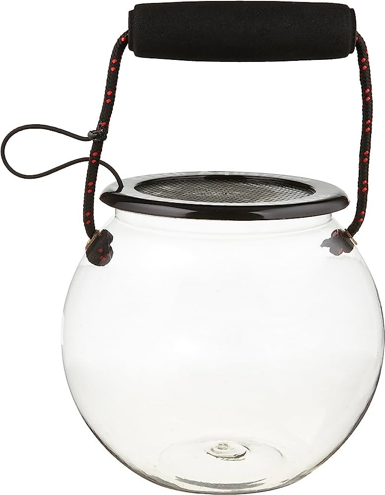 Dry Branch Sports Design Catch and Release Plastic Beach Aquarium Kit , Clear, Fish | Amazon (US)