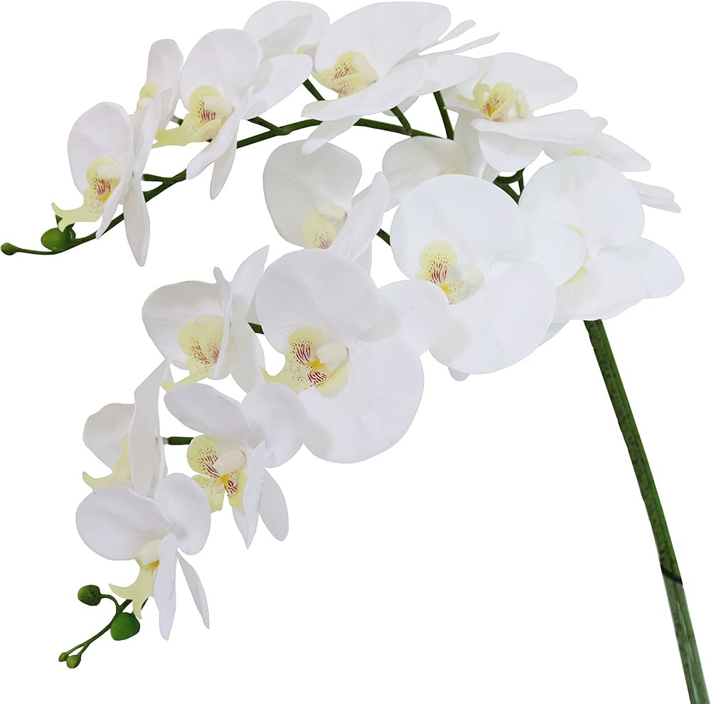 Htmeing 38 Inch Artificial Phalaenopsis Flowers Branches Real Touch (Not Silk) Orchids Flowers fo... | Amazon (US)