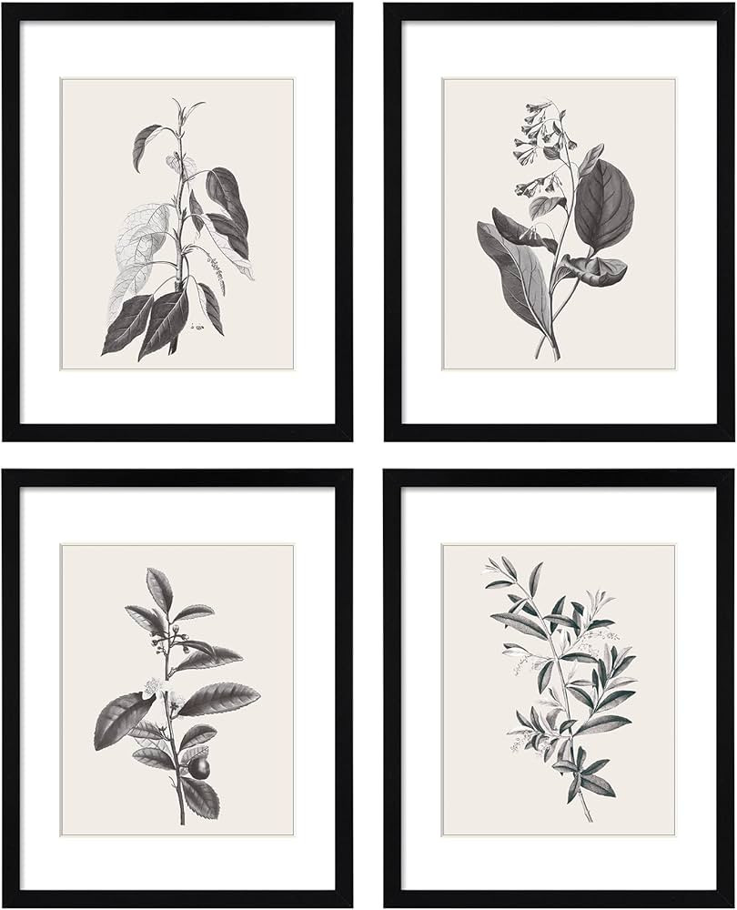 ArtbyHannah 11x14 Inch Framed Botanical Wall Art with Black Frames and Plant Prints for Home Deco... | Amazon (US)