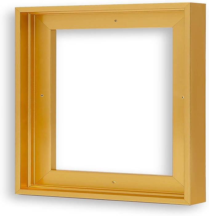 Canvas Floater Frames for 12"x12"Canvas Paintings,Square Canvas Frame,Floating Frames for Canvas ... | Amazon (US)