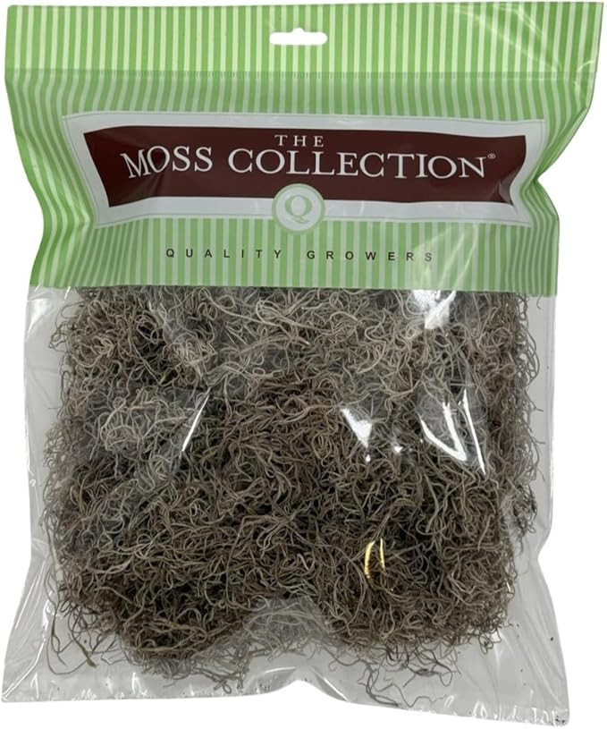 Preserved Spanish Moss - Decorative Moss - Dried Moss for Crafts, Home Decor, Art, Design & DIY P... | Amazon (US)