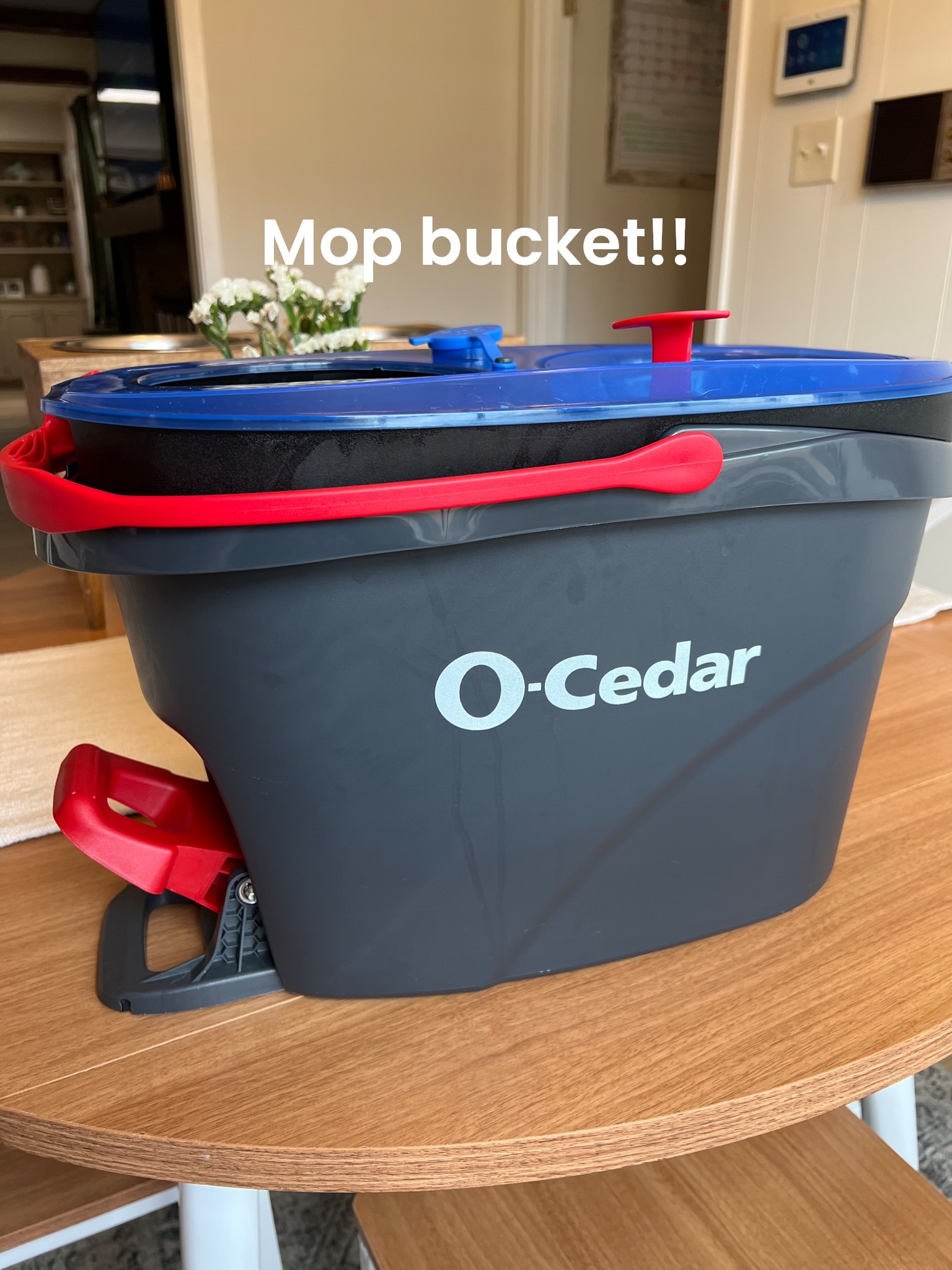 This mop bucket is 10/10 and comes with a removable and washable mop head! It also keeps the dirty water and clean water separated so you can keep your floors squeaky clean!! 

#LTKHome #LTKFamily