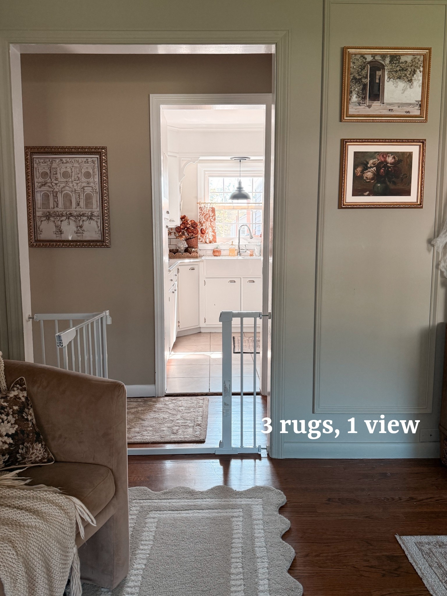 Rugs to love 🤎

#LTKHome #LTKSeasonal