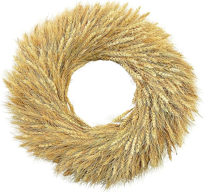 Mud Pie Preserved 20" Wheat Wreath, Brown | Amazon (US)