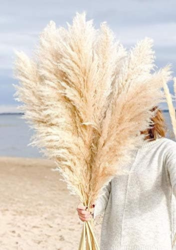 Emir&Odin 40" inch 15 Stems Natural Dried Pampas Grass – Tall, Large and Fluffy, No Shedding No... | Amazon (US)