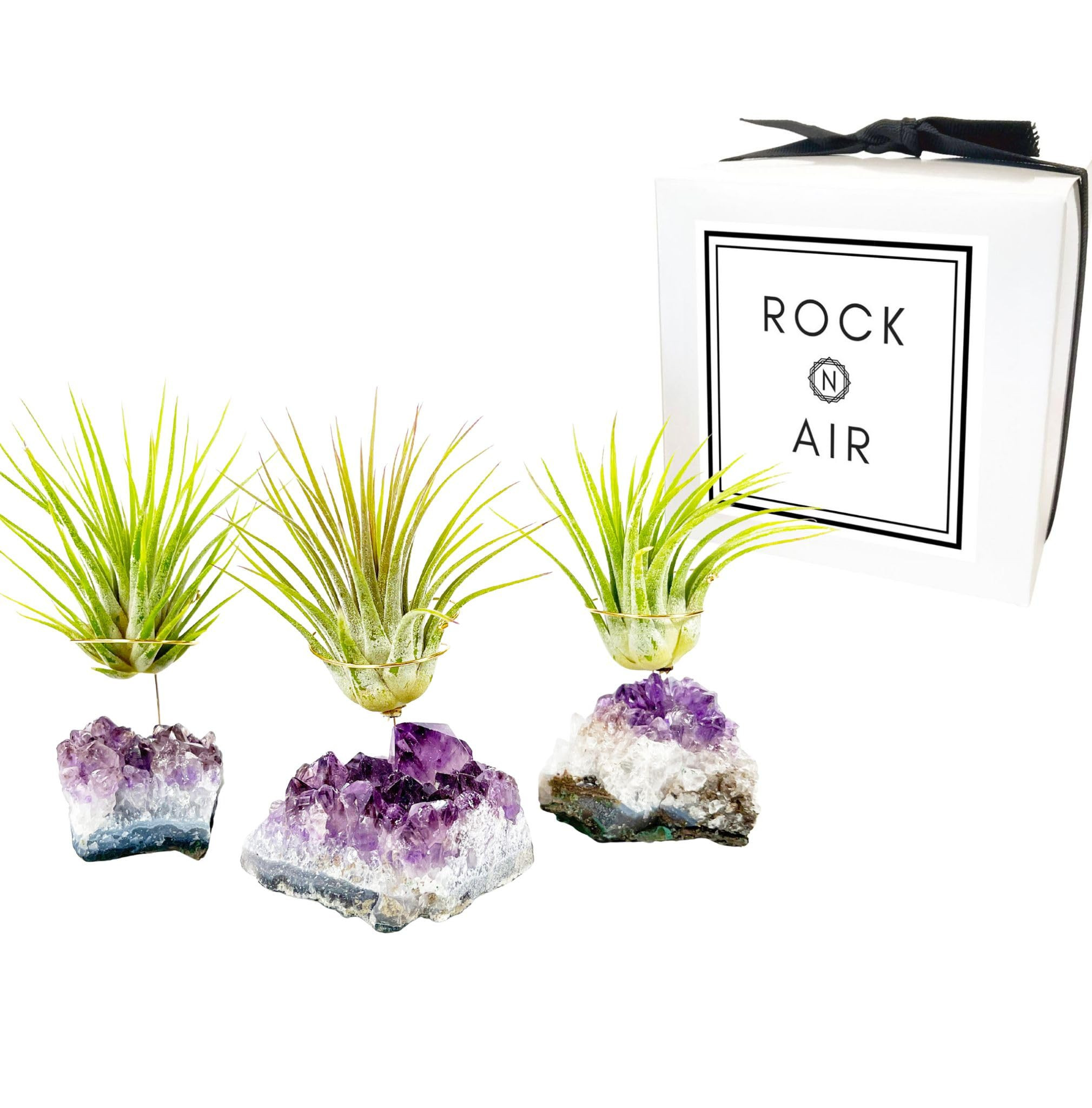 Set of 3 Mini Amethyst Crystal Air Plant Holders – Includes Healthy Tillandsia, Ready-to-Gift H... | Amazon (US)