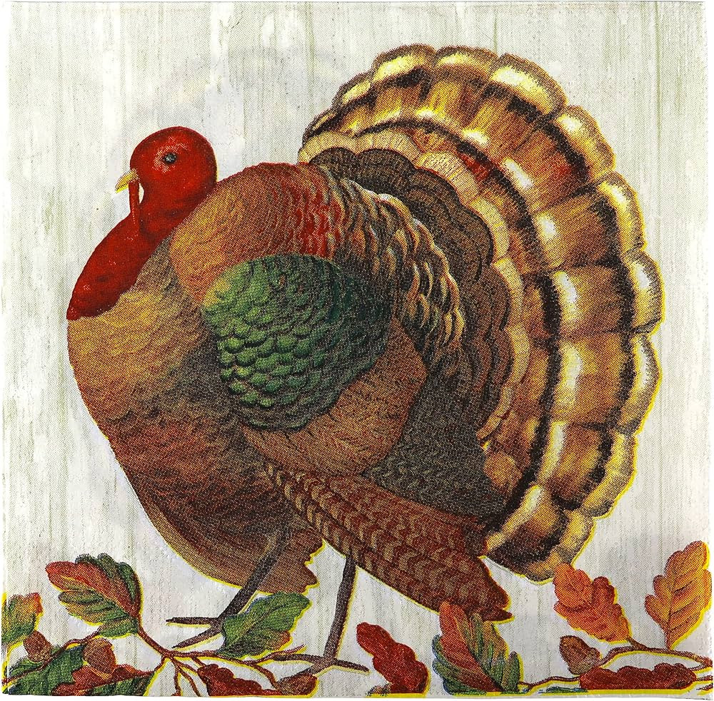 Iconikal Disposable Paper Thanksgiving Party Napkins, Harvest Turkey, Dinner Size, 75-Count | Amazon (US)