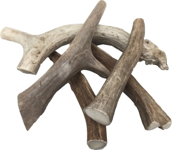 Top Dog Chews Premium Large Antler Variety Pack Dog Treats, 1-lb bag | Chewy.com