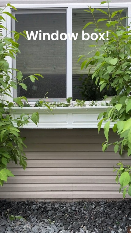 PVC flower window box from Wayfair! 

White planter box, white window box, self watering

#LTKSeasonal #LTKHome
