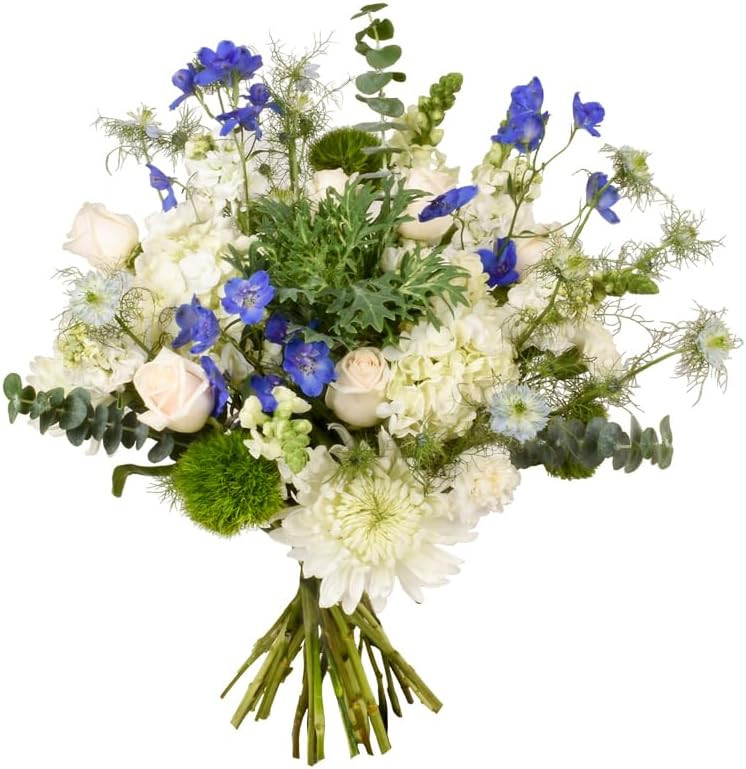 Floral Compass Bouquet of Flowers for Delivery - Prime Eligible - Health & Wellness Flower Bouque... | Amazon (US)