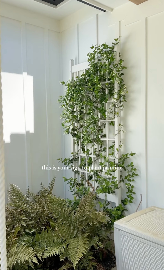 This is your sign to plant jasmine. 

 #LTKdayinmylife #LTKSeasonal #LTKHome