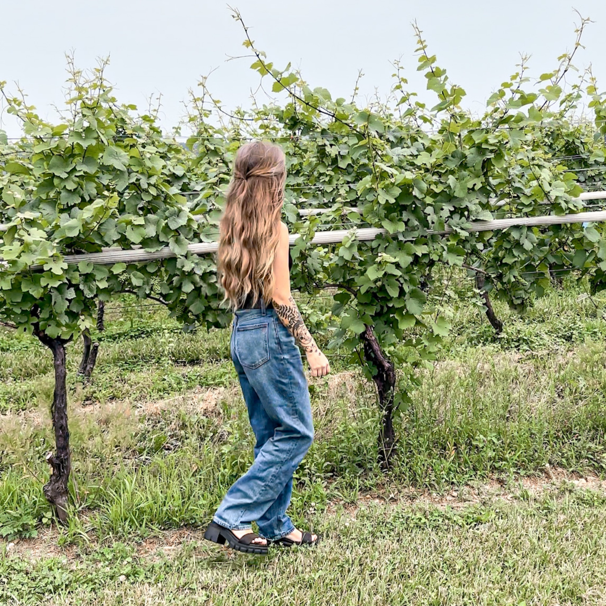 winery + vineyard look 

#LTKSeasonal #LTKtravel #LTKunder100