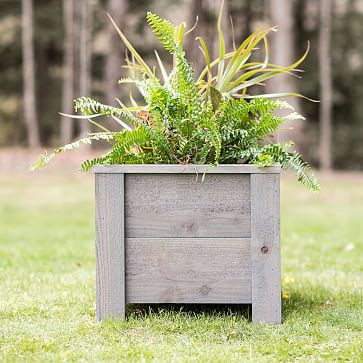 The McGarvey Workshop Cedar Planter | West Elm (US)