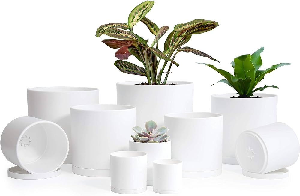 D'vine Dev 10 Pack Plastic Plant Pots for Plants, 6.5/6/5.5/5/4.5/4/3.5/3/2.5/2 Inch Indoor Plant... | Amazon (US)